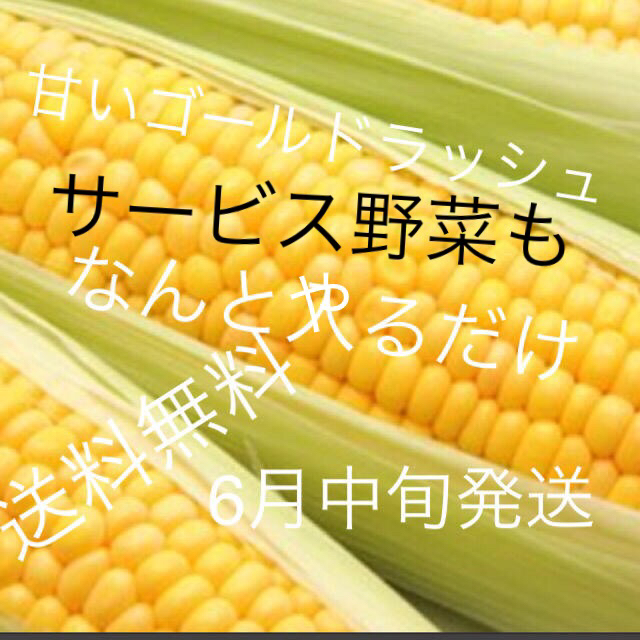 無農薬トウモロコシ入るだけ入れます。激安価格 食品/飲料/酒の食品(野菜)の商品写真