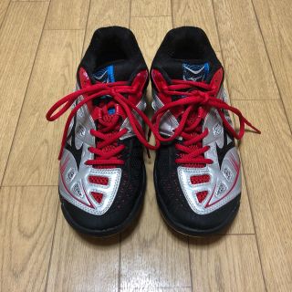 ミズノ(MIZUNO)のバドミントン シューズ 26cm ウエーブファングRX  (バドミントン)