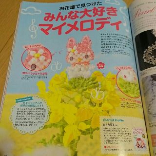 キワセイサクジョ(貴和製作所)の干しいも様専用 SPRING 2010 vol26 (趣味/スポーツ/実用)