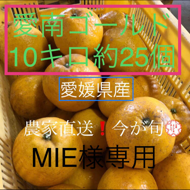 愛南ゴールド 食品/飲料/酒の食品(フルーツ)の商品写真