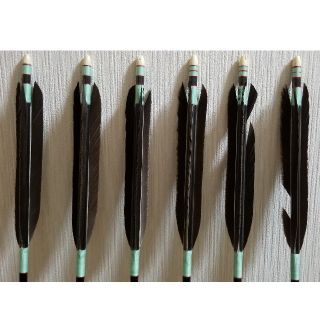 はな様専用、雷槌80式カーボン矢 弓道の通販 by ヒロック's shop