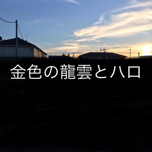 龍神お守り☆全身虹色と金色に輝く貴重な白蛇の抜け殻を使用 ハンドメイドの生活雑貨(その他)の商品写真