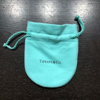 ティファニー(Tiffany & Co.)の【未使用・新品】ティファニー アクセサリー専用ポーチ(ショップ袋)