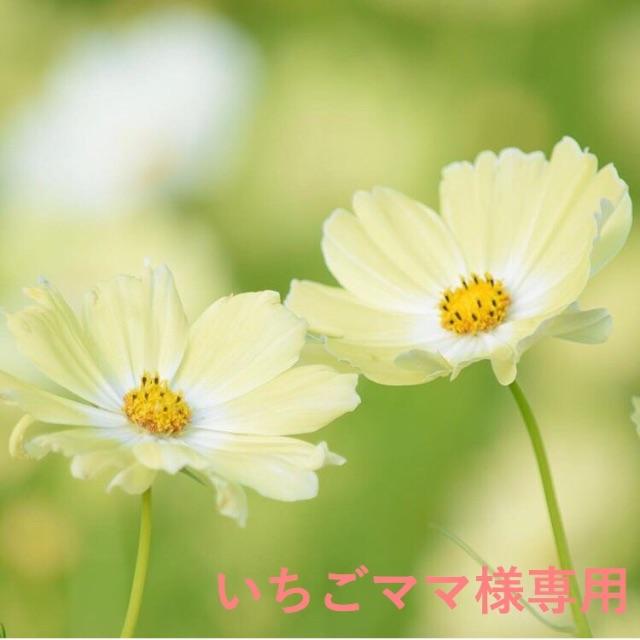 いちごママ様専用の通販 by RARA's shop |ラクマ