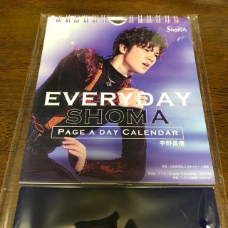 宇野昌磨 卓上カレンダー2019(カレンダー/スケジュール)