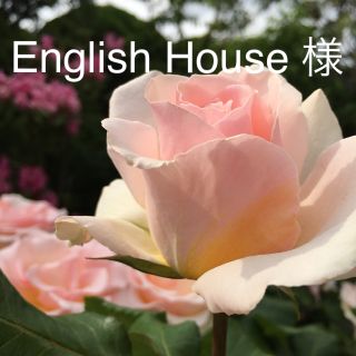 English House様 ありがとうございます(リング(指輪))