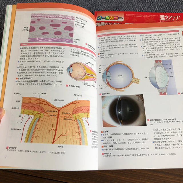 学研(ガッケン)のりか♡プロフ必読!様専用　眼科疾患ビジュアルブック エンタメ/ホビーの本(語学/参考書)の商品写真