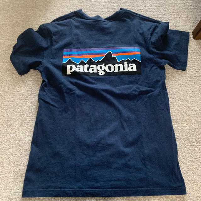 patagonia(パタゴニア)のパタゴニア Patagonia Tシャツ レディースのトップス(Tシャツ(半袖/袖なし))の商品写真