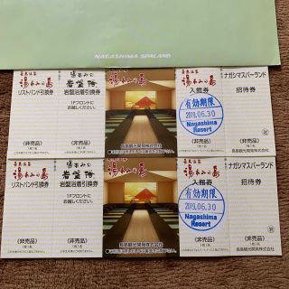 湯あみの島 岩盤浴 入場券 長島温泉(遊園地/テーマパーク)