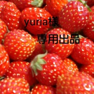 yuria  DECO様専用出品(その他)