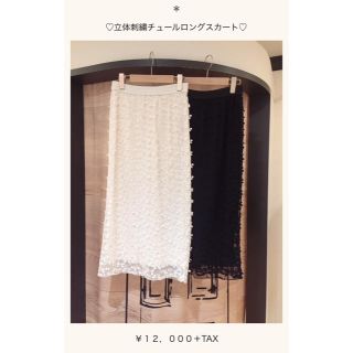 ココディール(COCO DEAL)のCOCODEAL❇︎立体刺繍チュールスカート(ロングスカート)