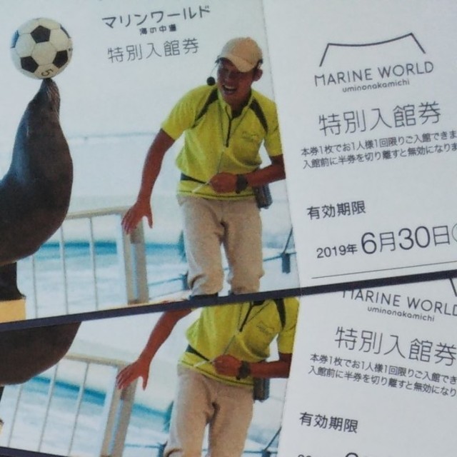 マリンワールド　入館券 チケットの施設利用券(水族館)の商品写真