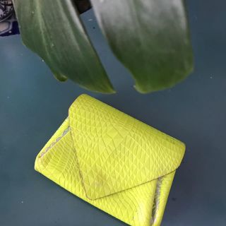 ちそ様　専用　carmaineネオンカラーのウォレット★(財布)