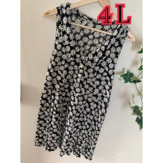 4Ｌ/ガーリー花柄ミニワンピース♥️(ミニワンピース)