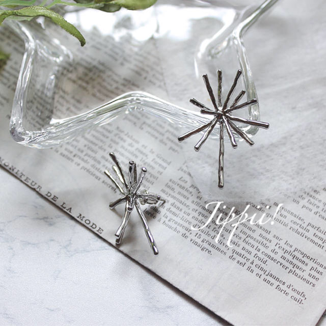 DEUXIEME CLASSE(ドゥーズィエムクラス)の再入荷♡fireworksスパークリングピアス♡Silver  レディースのアクセサリー(ピアス)の商品写真