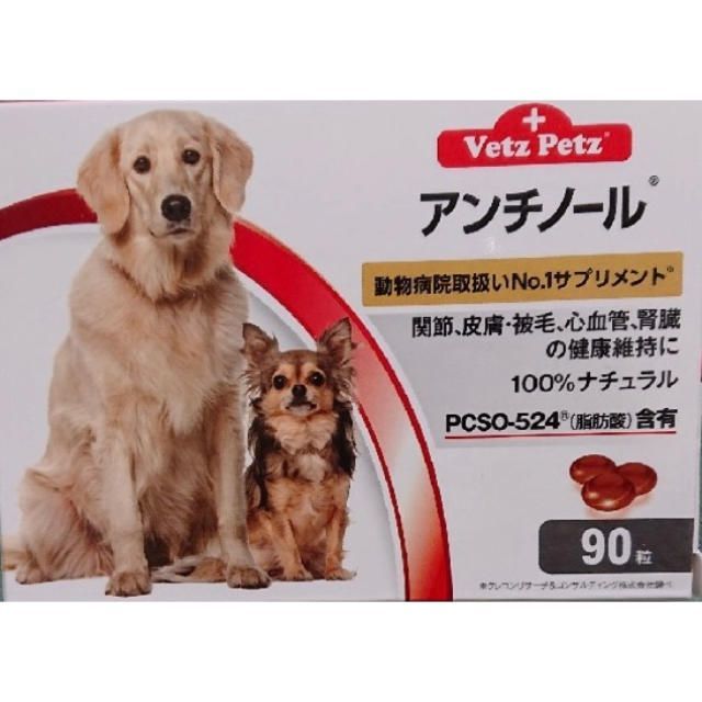 アンチ ノール 犬 用