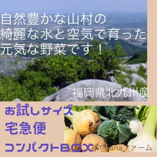 お試しサイズ  朝採り! 農家直送やさい  / にんにく 野菜詰め合わせ(野菜)