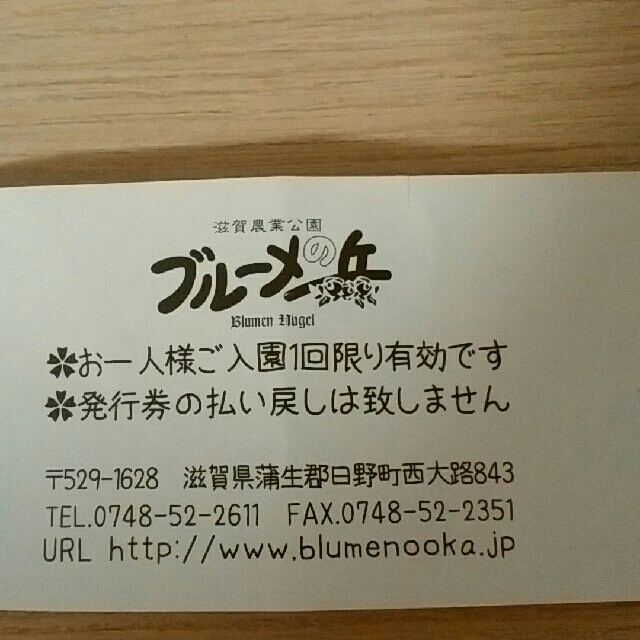 滋賀農業公園　ブルーメの丘　おとな・こども共通入園券２枚セット チケットの施設利用券(遊園地/テーマパーク)の商品写真