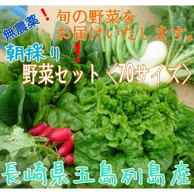 無農薬❗新鮮野菜セット(70サイズ) 長崎県五島列島よりお届け❗ 食品/飲料/酒の食品(野菜)の商品写真