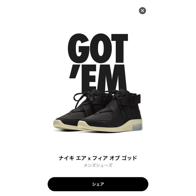 NIKE air fear of god raid 【本日限定】