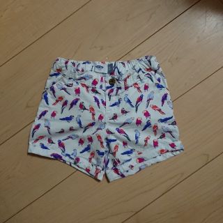 オールドネイビー(Old Navy)の鳥柄ショートパンツ(パンツ/スパッツ)