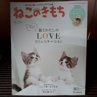 ママリンさま専用☆ねこのきもち３冊(猫)