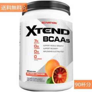 エクステンド BCAA ブラッドオレンジ 90回分 1269g 新品未使用(アミノ酸)