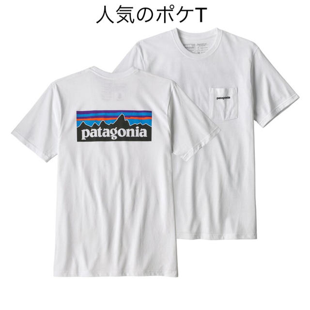 パタゴニア Tシャツ ポケットT