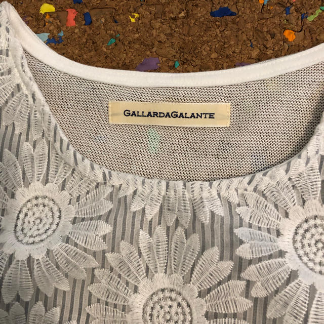 GALLARDA GALANTE(ガリャルダガランテ)のガリャルダガランテ 花柄刺繍ブラウス レディースのトップス(シャツ/ブラウス(半袖/袖なし))の商品写真