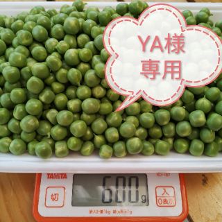 スナップえんどう　むき実600g　グリーンピース(野菜)