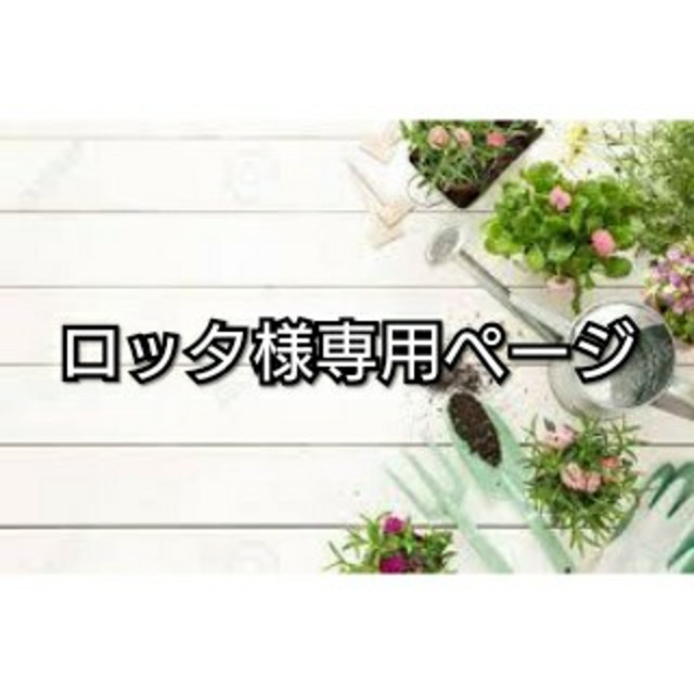 専用  ココン ソワ 基礎化粧品4点セット ×3