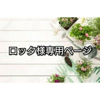 ココン(Cocon)の専用  ココン ソワ 基礎化粧品4点セット ×3(その他)