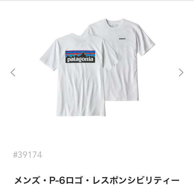 即日発送！Patagonia Tシャツ