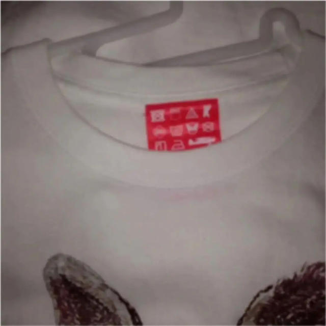 小沢健二 フジロックTシャツ エンタメ/ホビーのタレントグッズ(ミュージシャン)の商品写真