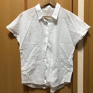 ハニーズ(HONEYS)の白シャツ 半袖(シャツ/ブラウス(半袖/袖なし))