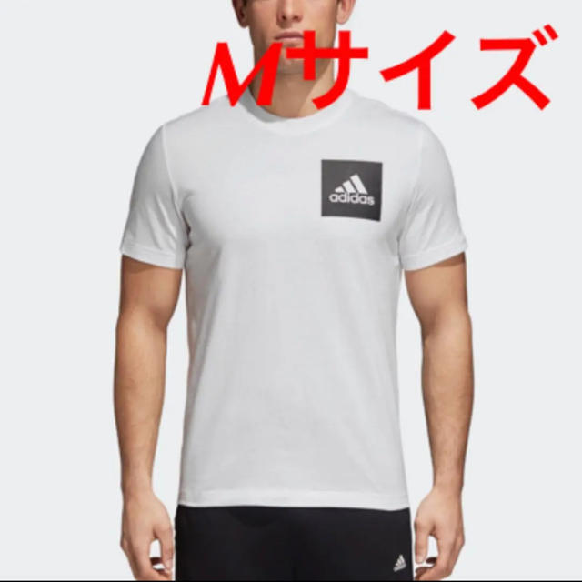 adidas(アディダス)の新品！ adidas アディダス Tシャツ ビッグロゴ ホワイト Mサイズ メンズのトップス(Tシャツ/カットソー(半袖/袖なし))の商品写真