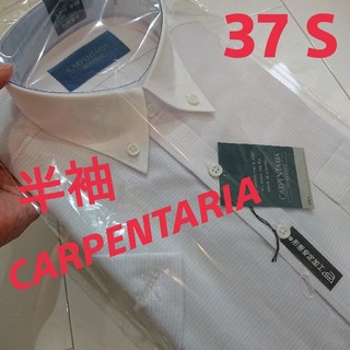 新品◆ 37 S◆CARPENTARIA 半袖Yシャツ♥ワイシャツパープル♥(シャツ)