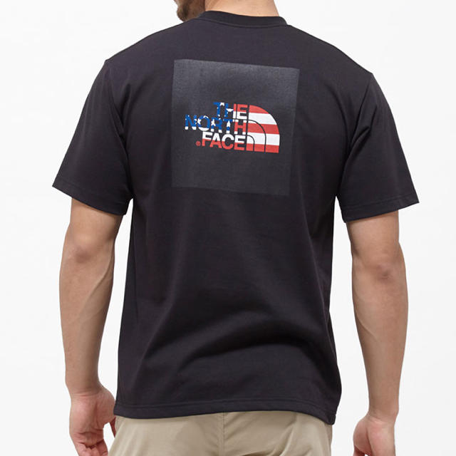 THE NORTH FACE(ザノースフェイス)のTHE NORTH FACEナショナルフラッグロゴTシャツNT31943サイズL メンズのトップス(Tシャツ/カットソー(半袖/袖なし))の商品写真