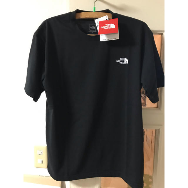 THE NORTH FACE(ザノースフェイス)のTHE NORTH FACEナショナルフラッグロゴTシャツNT31943サイズL メンズのトップス(Tシャツ/カットソー(半袖/袖なし))の商品写真