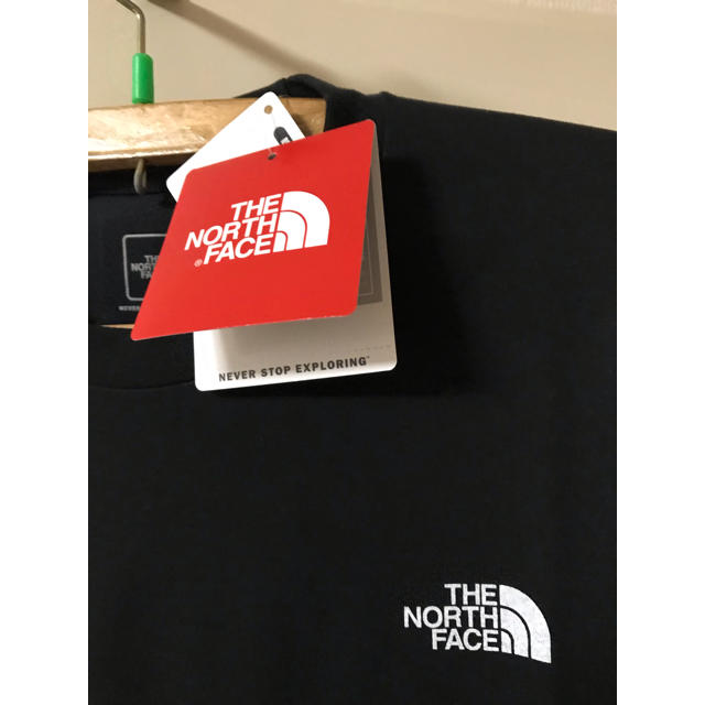 THE NORTH FACE(ザノースフェイス)のTHE NORTH FACEナショナルフラッグロゴTシャツNT31943サイズL メンズのトップス(Tシャツ/カットソー(半袖/袖なし))の商品写真