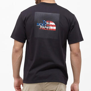 ザノースフェイス(THE NORTH FACE)のTHE NORTH FACEナショナルフラッグロゴTシャツNT31943サイズL(Tシャツ/カットソー(半袖/袖なし))