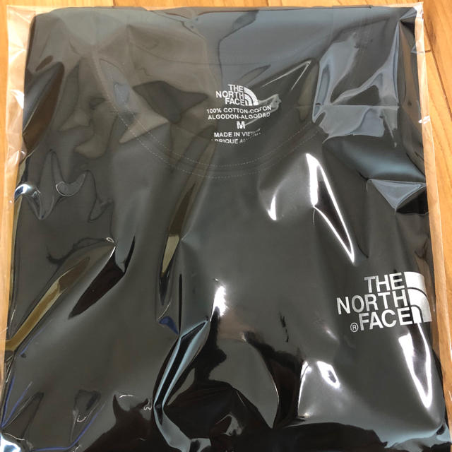 THE NORTH FACE(ザノースフェイス)の【大好評】ノースフェイス ロングスリーブ ロンT ボックスロゴ パタゴニア M メンズのトップス(Tシャツ/カットソー(七分/長袖))の商品写真