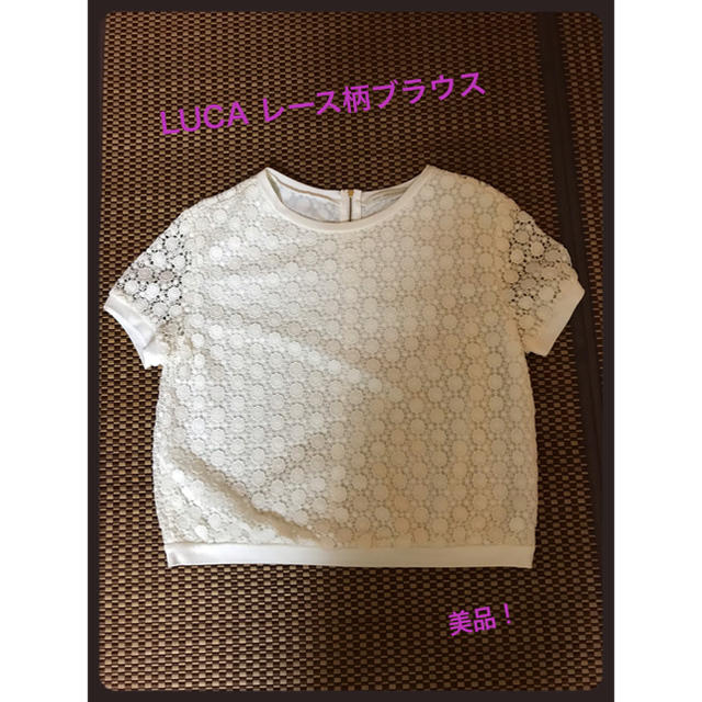 LUCA(ルカ)のLUCA レース柄Tシャツブラウス 美品！ レディースのトップス(シャツ/ブラウス(半袖/袖なし))の商品写真