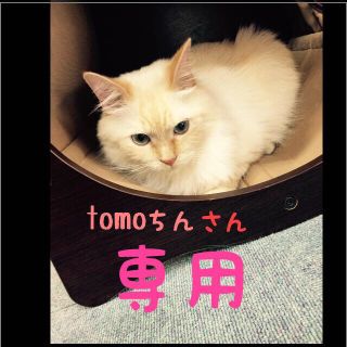 tomoちん様☆専用(サンダル)