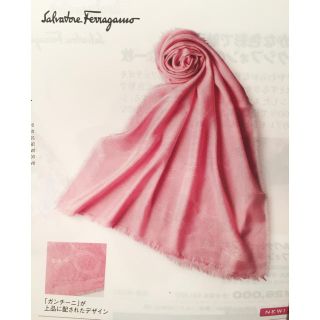ドゥロワー Salvatore Ferragamo - Madonna様専用 未使用 フェラガモ