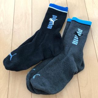 プーマ(PUMA)のキッズ靴下、プーマ靴下(靴下/タイツ)