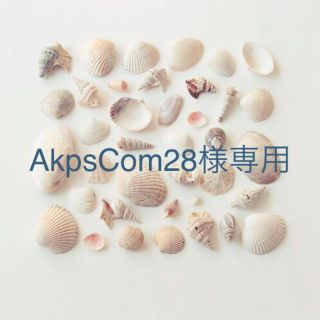 AkpsCom28様専用ページ(ピアス)