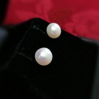 ミキモト(MIKIMOTO)の🌹ボタン型,本真珠ピアス🌹未使用品(ピアス)