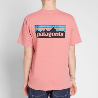 パタゴニア(patagonia)のSサイズ　パタゴニア tシャツ ロゴt P-6ロゴ レスポンシビリティー(Tシャツ/カットソー(半袖/袖なし))