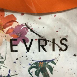 エヴリス(EVRIS)の値下げ EVRIS 防水ケース(ボディバッグ/ウエストポーチ)